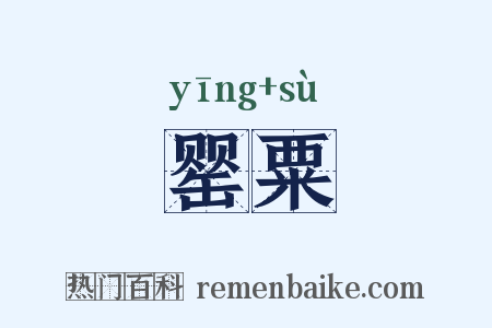 罂粟是什么意思的图片